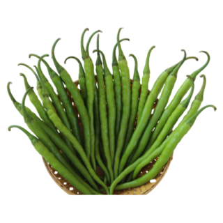 Shivani Hot Pepper From Known You Seed (India)-KYI